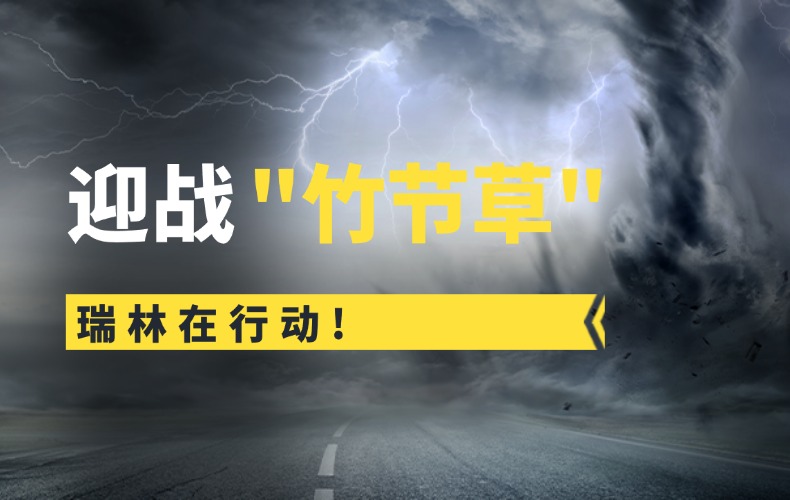 竹节草过境，，，，，，，太阳集团tyc97281人未停！从应急响应到深度复盘的全链守护